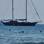 Alex 34