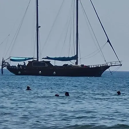 Alex 34